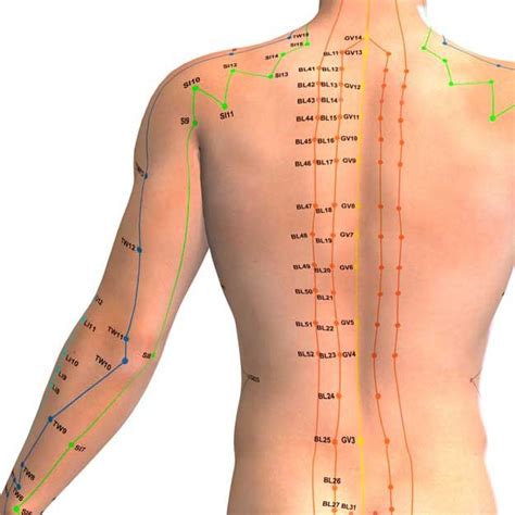 Pin on Acupuncture