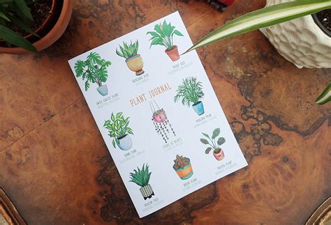 Plant Journal for Houseplant Care, A5 Lined Notebook for Succulents, Cactus, Peace Lily, Spider ...