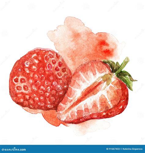 Watercolor Strawberry Illustration Stock Illustration - Illustration of realistic, leaves: 91667433