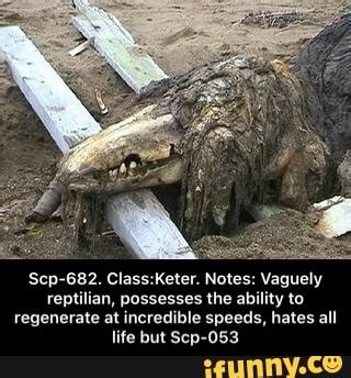 Scp-682. Class:Keter. Notes: Vaguely reptilian, possesses the ability ...