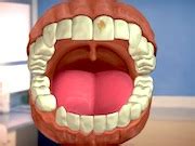 Dental Adventure Online Game & Unblocked - Flash Games Player