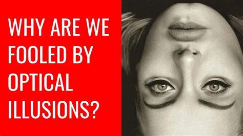 Why Are We Fooled by Optical Illusions? - YouTube