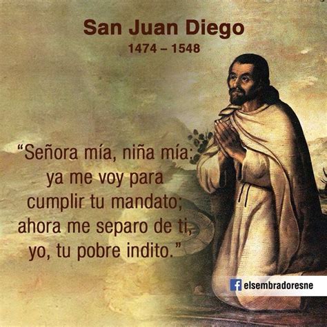 San Juan Diego. en 2024 | San juan diego, Imágenes de ángeles, Imágenes ...