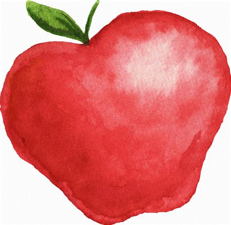 Watercolor Apple at PaintingValley.com | Explore collection of ...