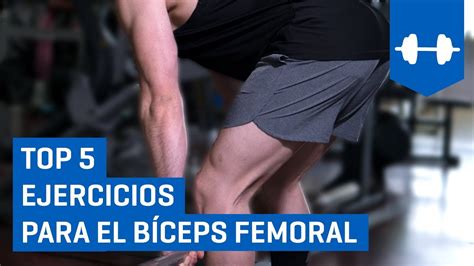 Top 5 Ejercicios para el Bíceps Femoral (Bíceps Crural) - YouTube