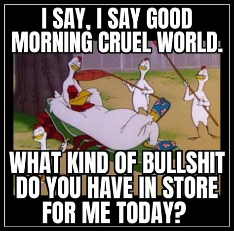 Pin by Randy Burchett on Foghorn leghorn quotes | Funny tshirts, Funny pictures, Funny