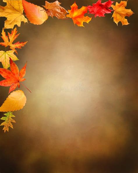 Brown Background with Fall Leaves Stock Photo - Image of natural, beautiful: 129827924