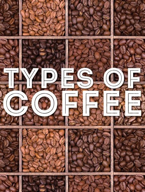 What Are The Main Types Of Coffee Beans? | Morning Coffee Journal