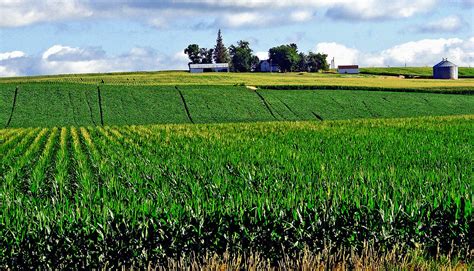 Corn Fields, Iowa Farm 7-13 | (1 in a multiple picture album… | Flickr