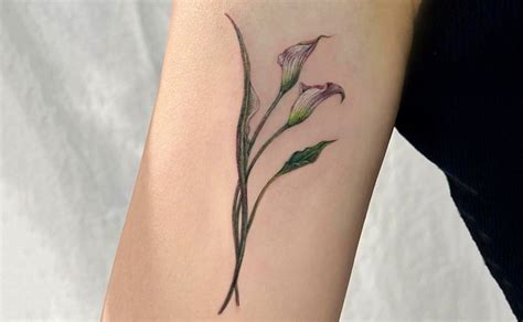 58 Blooming Calla Lily Tattoo Ideas To Rock In 2024