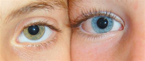 קובץ:Blue-green-eyes.JPG – ויקיפדיה
