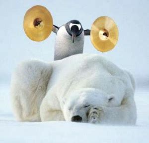 Polar Bears and Penguins - TV Tropes