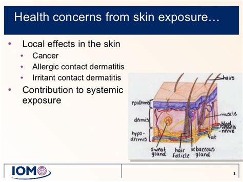 Dermal exposure measurement and modelling