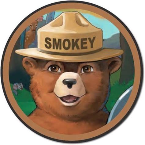 Smokey Bear | Smokey the bears, Smokey, Cute pictures