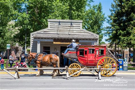 Yellowstone to Grand Teton National Park – Miss Vacation