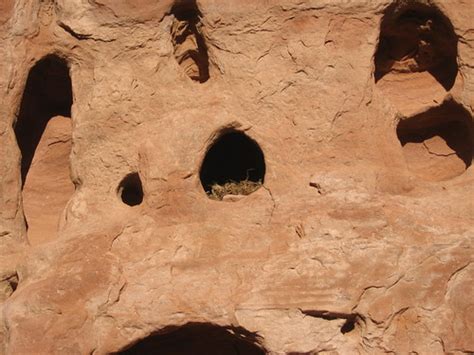 Canyon Wren Nest #2 | Another canyon wren nest? | Janice | Flickr