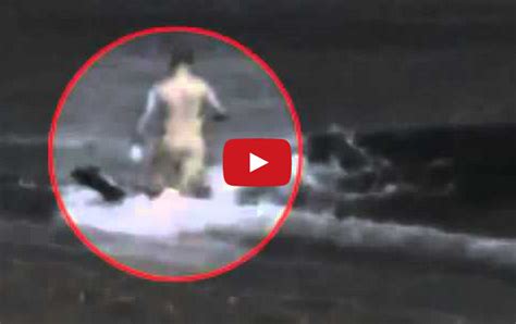 Killer Whale Attacks Man On Beach – WARNING: Graphic - DailyBuzzLive.com