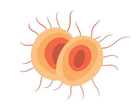 Premium Vector | Vector isolated illustration of gonorrhea pathogen under a microscope gonorrhea ...