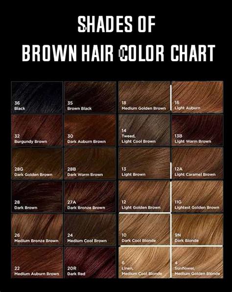 Shades Of Brown Hair Color