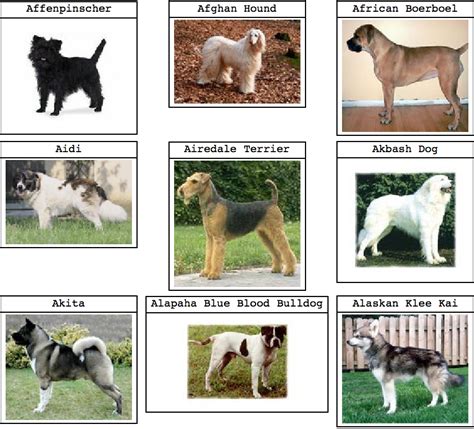 curated data - List of all dog breeds - Mathematica Stack Exchange