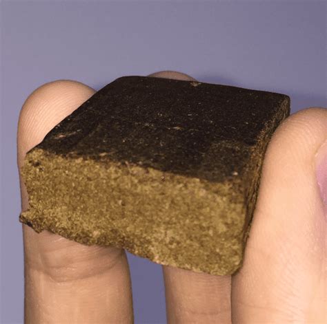 Street hashish contains 'dangerous' amount of faecal matter