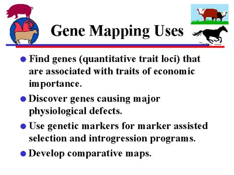 Gene Mapping Uses