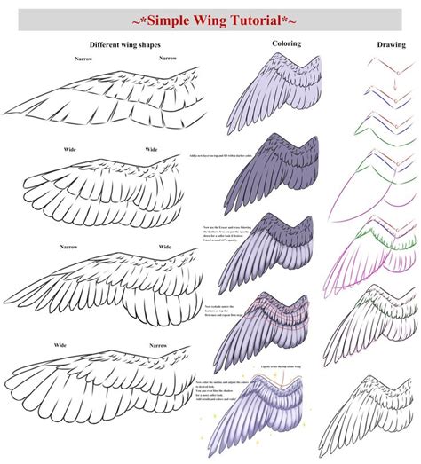 Pin by HEINZ/ 4K on para estudar | Wings drawing, Art reference, Wings art