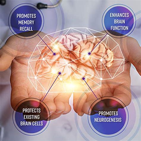 NeuroActin - 90 Veggie Caps Memory Vitamins, Elderly Brain Function ...