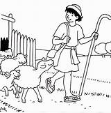 Good Shepherd Coloring Page At GetColoringscom  Free Printable sketch template