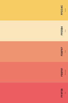25+ Best Coral Color Palettes with Names and Hex Codes in 2024 | Coral colour palette, Hex color ...