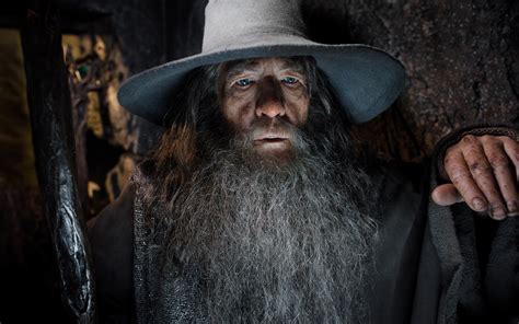 movies, Gandalf, The Hobbit, The Hobbit: The Desolation of Smaug, Ian McKellen, Men, Actor ...