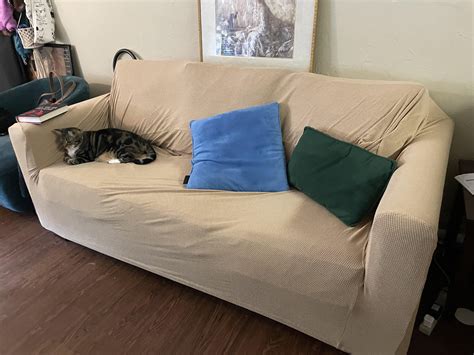 New Aldi couch cover with cat tax : r/aldi