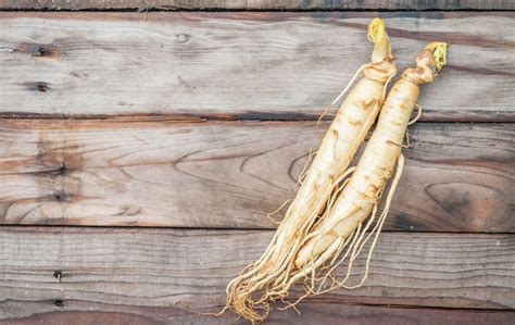 Ginseng: Getting to the Root | Herbs, Healthy herbs, Health