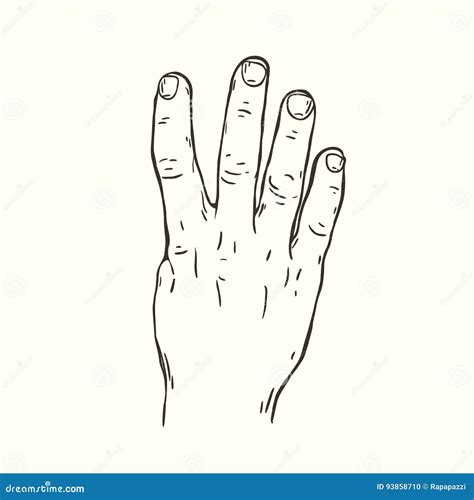 Hand gesture Four fingers stock vector. Illustration of male - 93858710