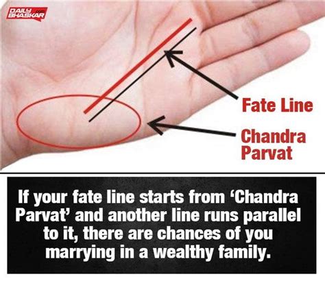 Meaning of Fate Line In Indian Palmistry | Palmistry, Fate line, Palm reading