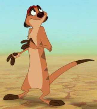 Lion King Characters Timon