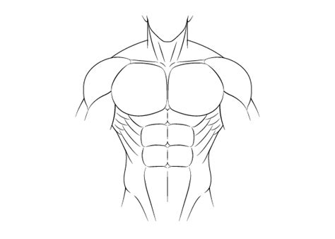 How to Draw Anime Muscular Male Body Step by Step - AnimeOutline