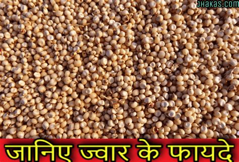 Benefits of Jowar in Hindi | ज्वार के स्वास्थ्यवर्धक फायदे