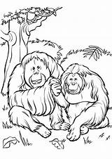 Gorilla Coloring Pages & Books  100% FREE And Printable sketch template
