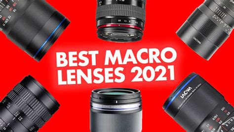 These Are the BEST Macro Lenses in 2021 (VIDEO) | Shutterbug