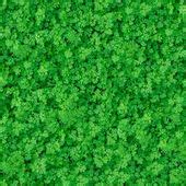 Green Meadow Grass. Seamless Texture. — Stock Photo © tashatuvango #23565303