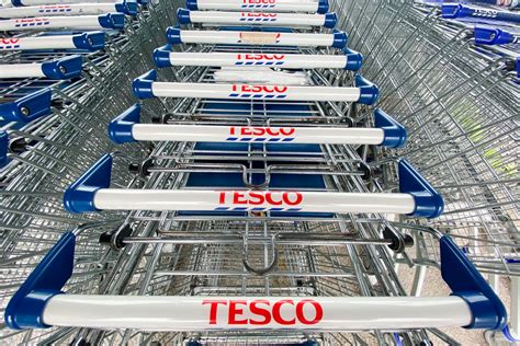 Tesco Share Price Forecast | Is Tesco a Good Stock To Buy?