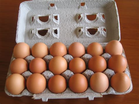 Day 8/ 18 Eggs in a Carton. | I know, it is hard to believe … | Flickr