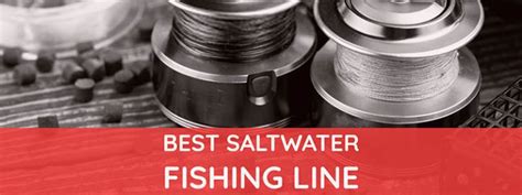 Best Saltwater Fishing Line: Top 10 Fishing Lines of 2021