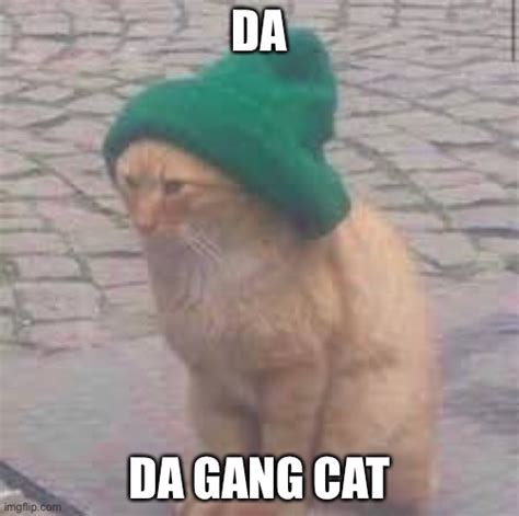 Da gang cat - Imgflip