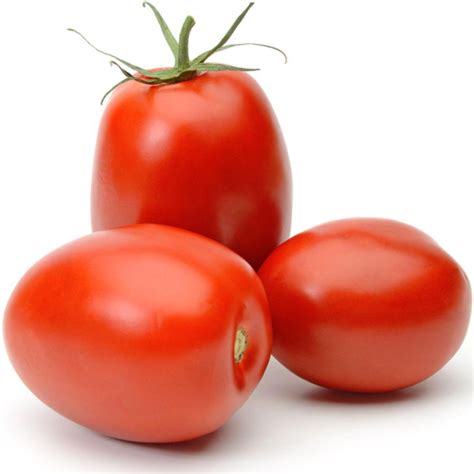 50 Giant Italian Plum Tomato Seeds - Welldales