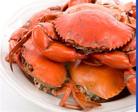 Shellfish allergy and the immune system - Happiest Health