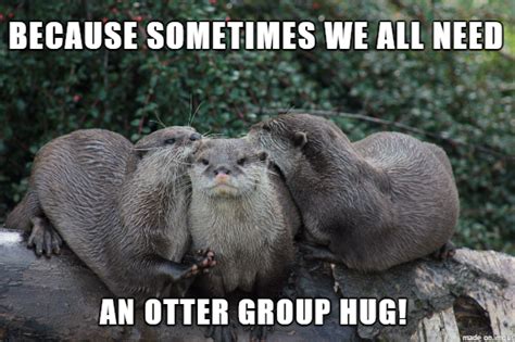 26 Otter Memes That Are Way Too Funny For Words | SayingImages.com Otter Meme, Significant Otter ...