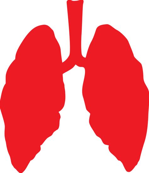Healthy Lungs Clipart