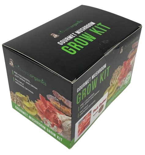 Best Mushroom Growing Kits for Beginners and Experts